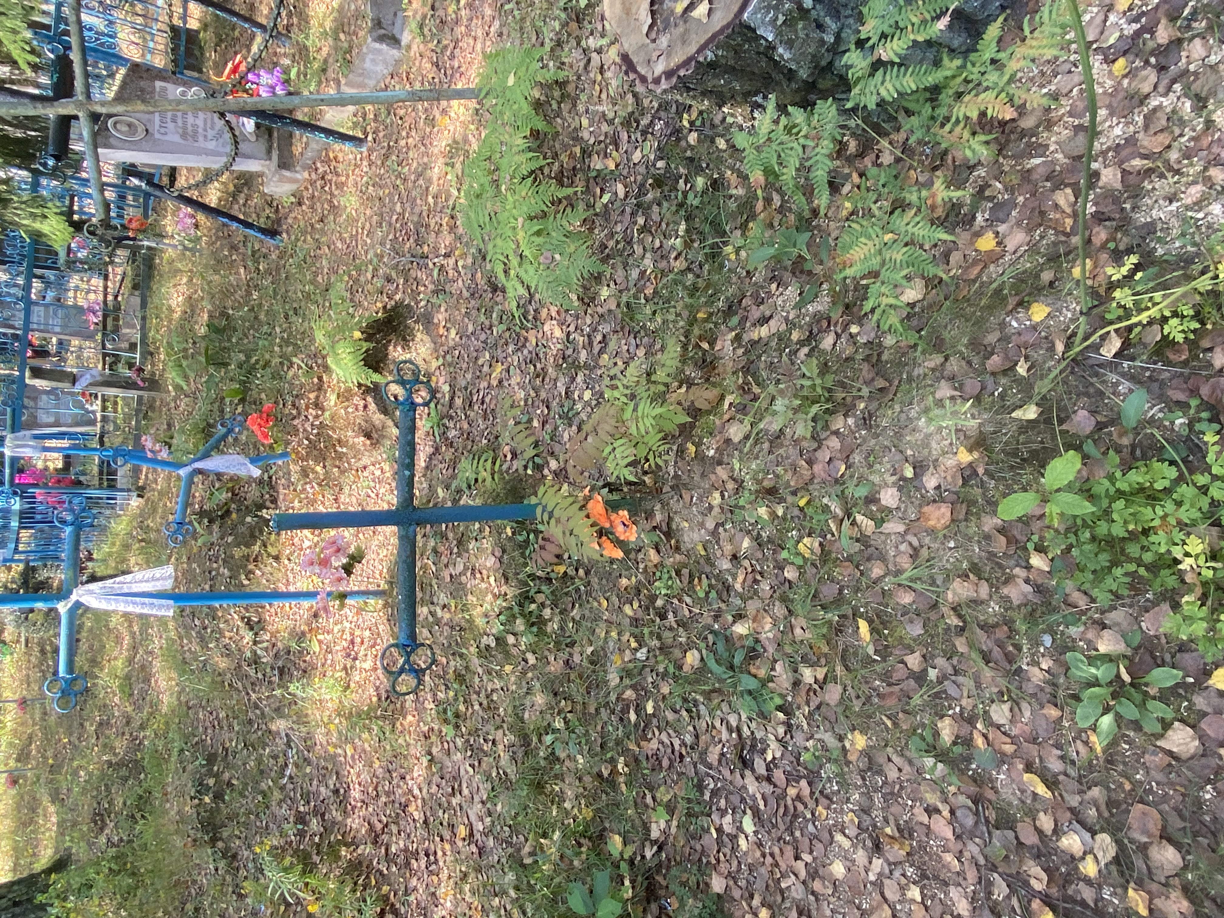 Фотография надгробия